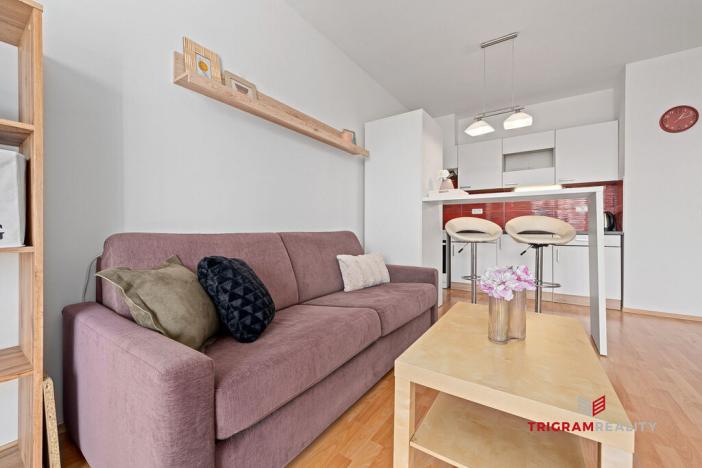 Pronájem bytu 1+kk, Hradec Králové - Třebeš, Ve Stromovce, 41 m2