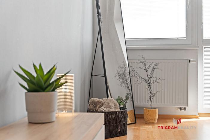 Pronájem bytu 1+kk, Hradec Králové - Třebeš, Ve Stromovce, 41 m2