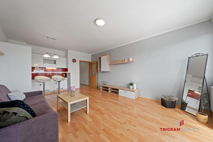 Pronájem bytu 1+kk, Hradec Králové - Třebeš, Ve Stromovce, 41 m2