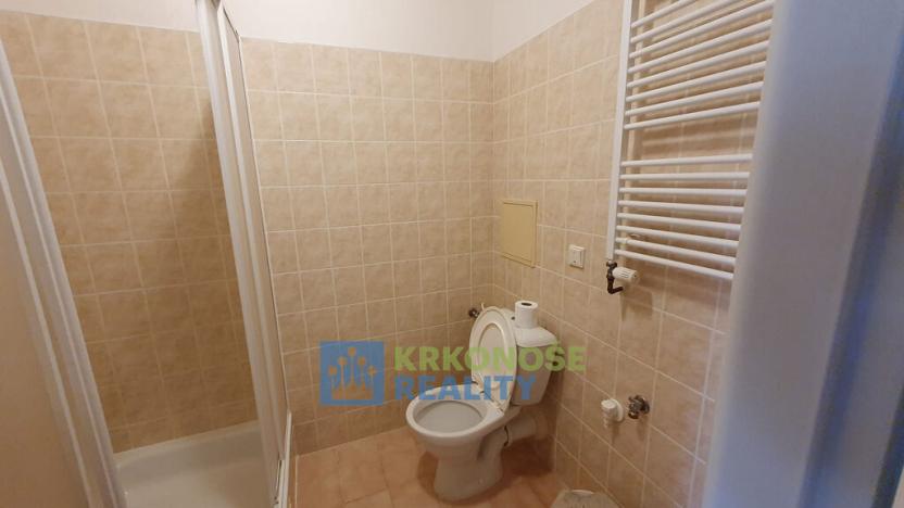 Prodej bytu 2+kk, Úpice, Národní, 43 m2