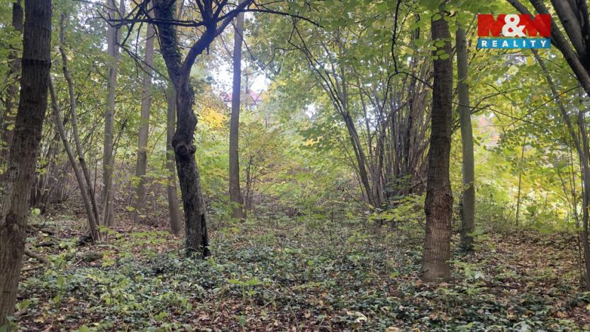 Prodej pozemku pro bydlení, Tábor, 1330 m2