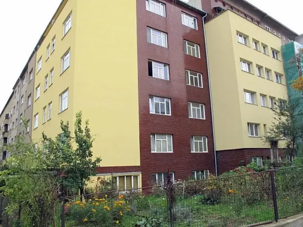 Pronájem bytu 1+kk, Brno, Hoblíkova, 23 m2
