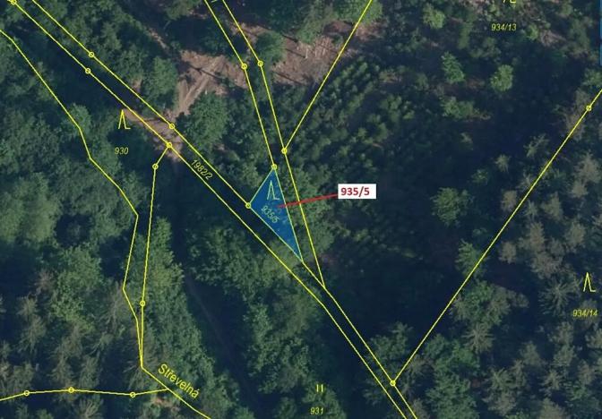 Dražba lesa, Jílové u Držkova, 88 m2