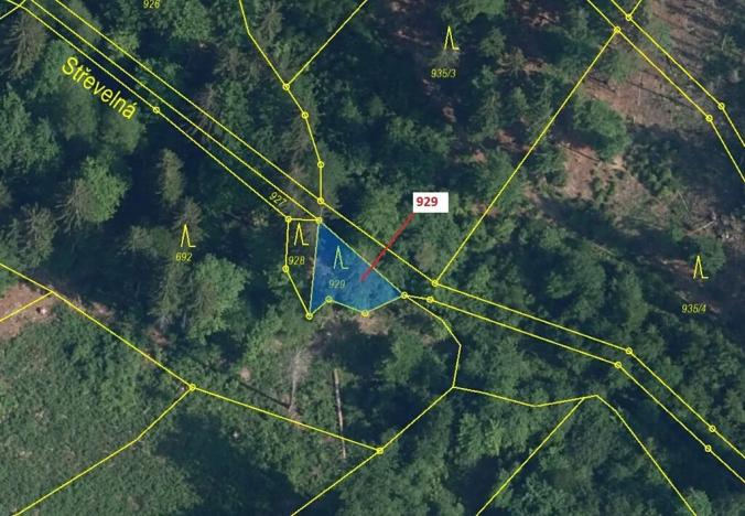 Dražba lesa, Jílové u Držkova, 151 m2