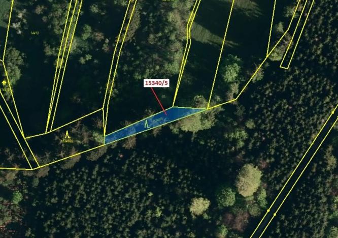 Dražba lesa, Hovězí, 312 m2