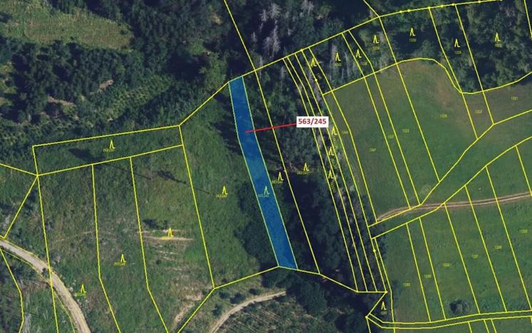 Dražba lesa, Spešov, 1009 m2