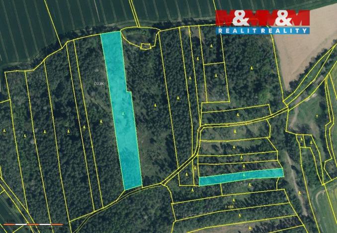 Prodej lesa, Hlohovčice, 10323 m2