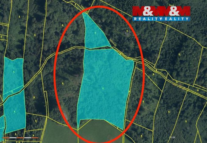 Prodej lesa, Horní Studénky, 29330 m2