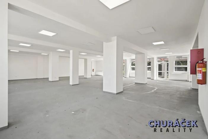 Prodej obchodního prostoru, Čelákovice, Sokolovská, 463 m2