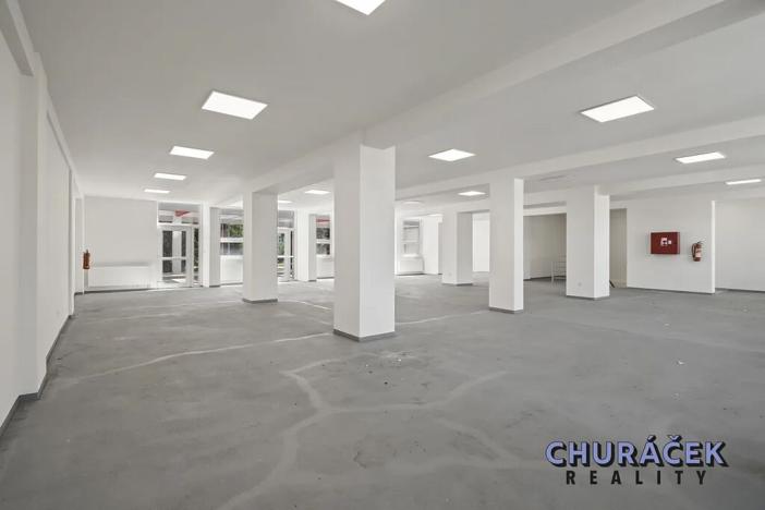 Prodej obchodního prostoru, Čelákovice, Sokolovská, 463 m2