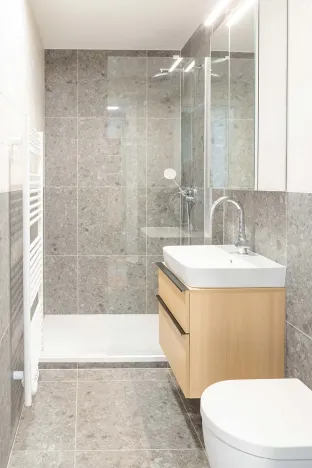 Pronájem bytu 1+kk, Brno, Bratislavská, 42 m2