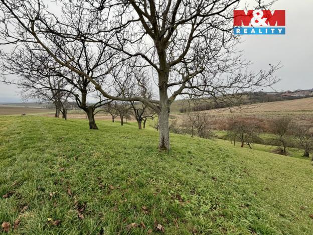 Prodej zahrady, Bezuchov, 901 m2