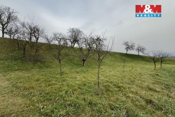 Prodej zahrady, Bezuchov, 901 m2