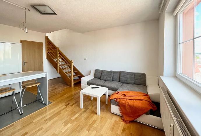 Prodej bytu 2+kk, Plzeň, Plzenecká, 54 m2