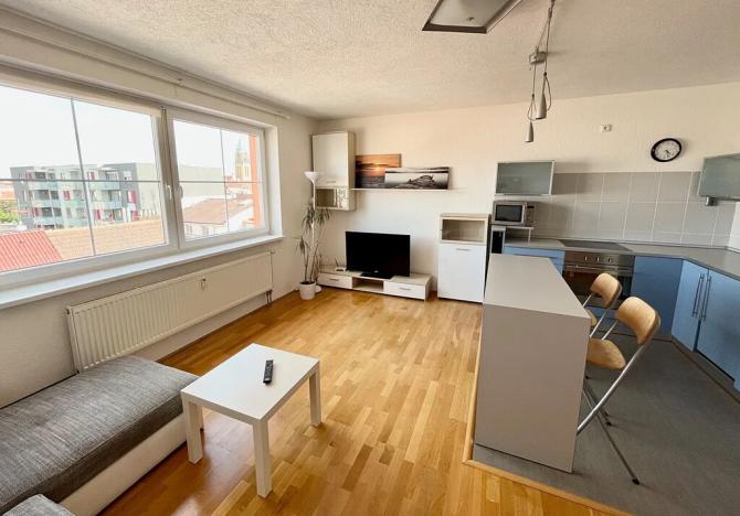 Prodej bytu 2+kk, Plzeň, Plzenecká, 54 m2