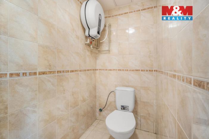 Prodej obchodního prostoru, Ústí nad Labem - Ústí nad Labem-centrum, Masarykova, 48 m2