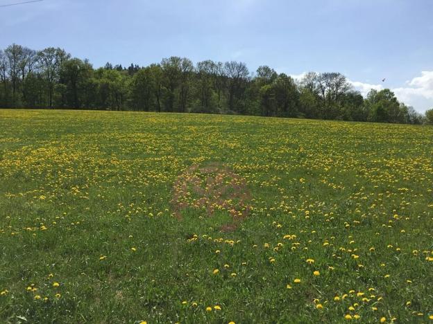 Prodej pozemku pro bydlení, Volyně, 6867 m2