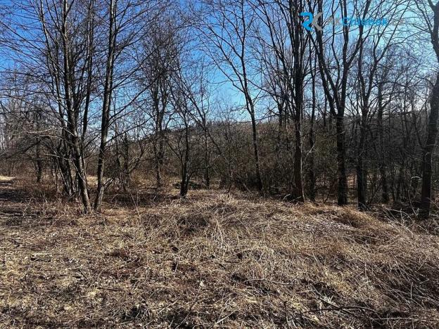 Prodej pozemku pro bydlení, Budišov nad Budišovkou, 556 m2