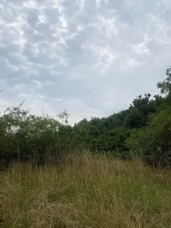 Dražba pozemku, Praha - Michle, 8863 m2