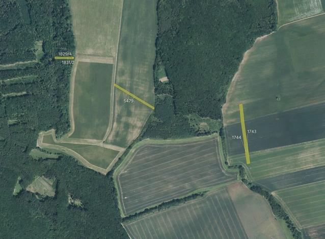 Prodej pole, Veletiny, 19554 m2