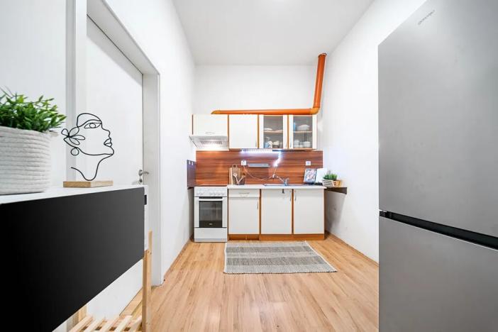 Prodej bytu 1+1, Brno, Francouzská, 40 m2