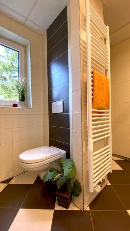 Pronájem bytu 2+1, Beroun - Beroun-Město, Zahořanská, 66 m2