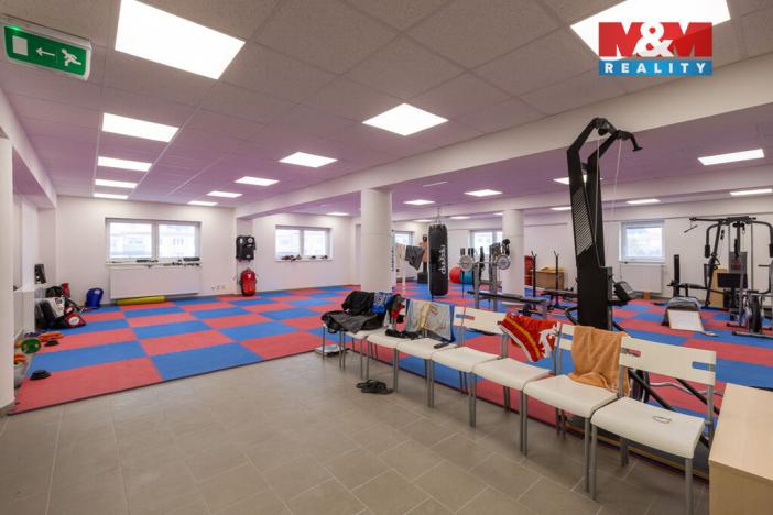 Pronájem kanceláře, Louny, Březinova, 210 m2