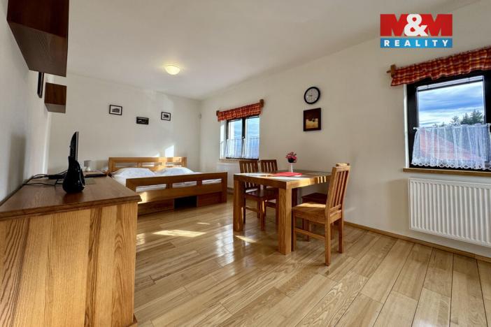 Pronájem bytu 1+kk, Mnichov - Vranov, 34 m2