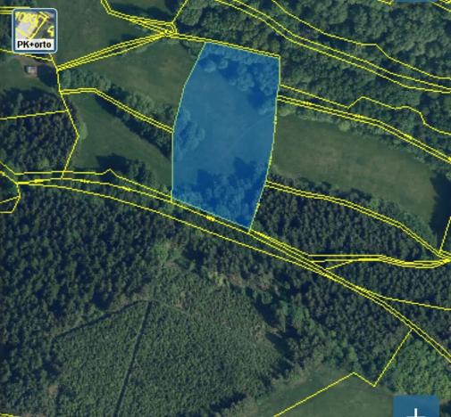 Prodej louky, Benecko, 10668 m2