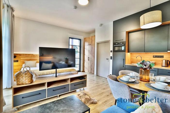 Prodej bytu 1+kk, Černý Důl, 40 m2