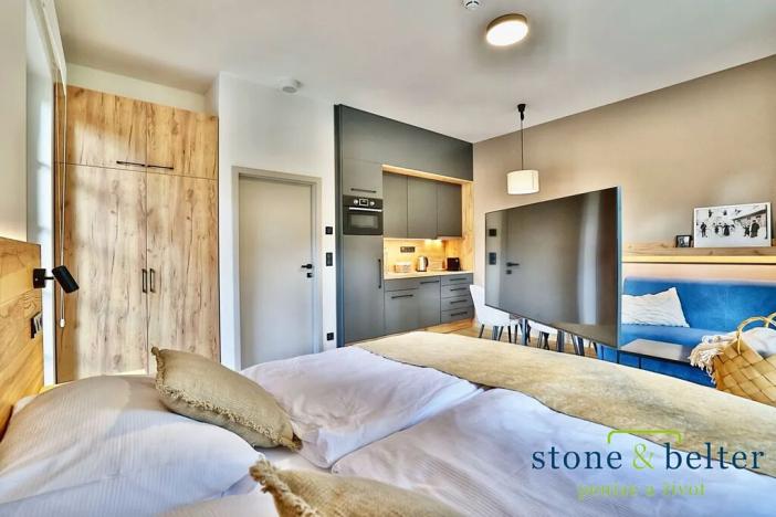 Prodej bytu 1+kk, Černý Důl, 40 m2