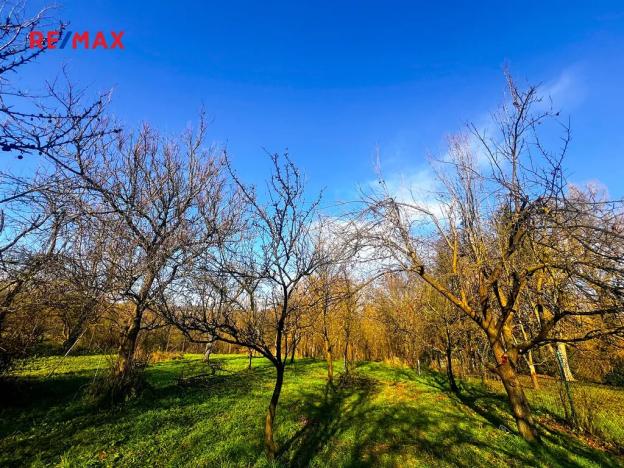 Prodej pozemku pro bydlení, Podolí, 1608 m2