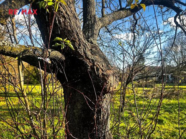 Prodej pozemku pro bydlení, Podolí, 1608 m2