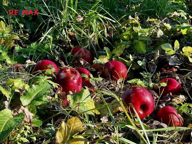 Prodej pozemku pro bydlení, Podolí, 1608 m2