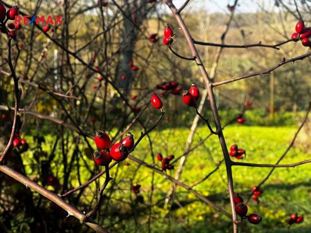 Prodej pozemku pro bydlení, Podolí, 1608 m2