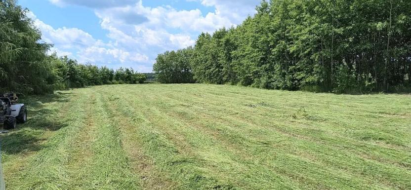 Prodej zahrady, Doubravčice, 7161 m2