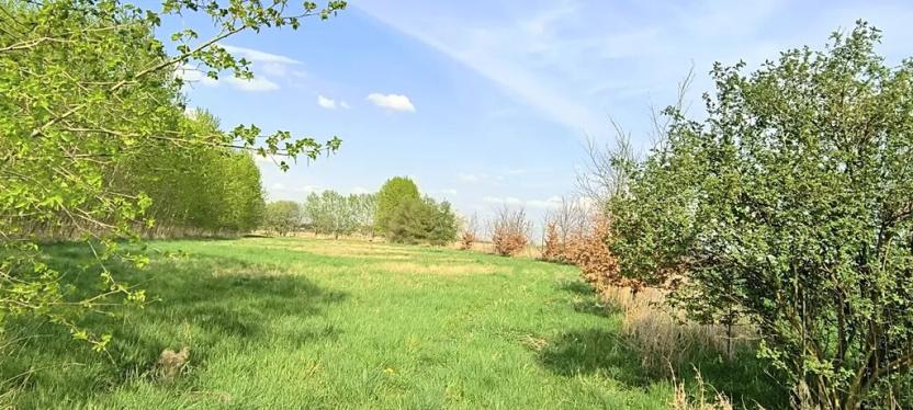 Prodej zahrady, Doubravčice, 7161 m2