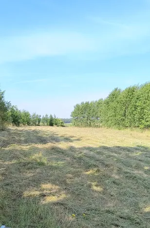 Prodej zahrady, Doubravčice, 7161 m2