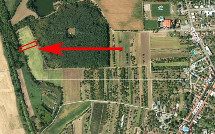 Prodej pole, Podivín, 1723 m2