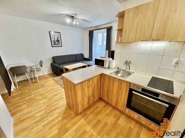 Pronájem bytu 1+kk, Ústí nad Labem, Střekovské nábřeží, 29 m2