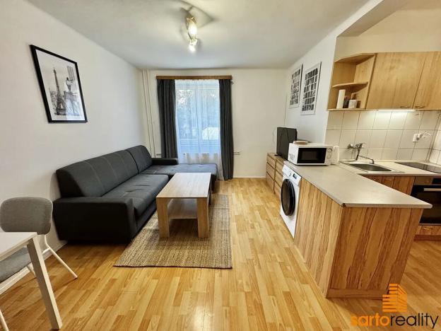 Pronájem bytu 1+kk, Ústí nad Labem, Střekovské nábřeží, 29 m2