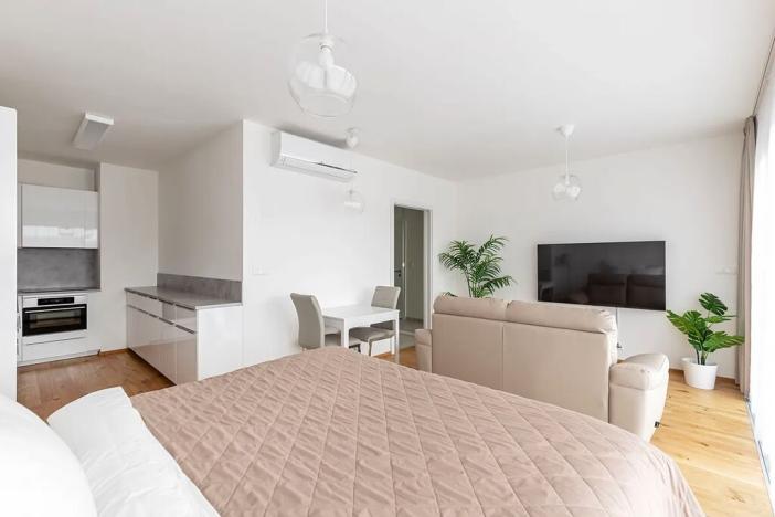 Pronájem bytu 1+kk, Brno, Lidická, 42 m2