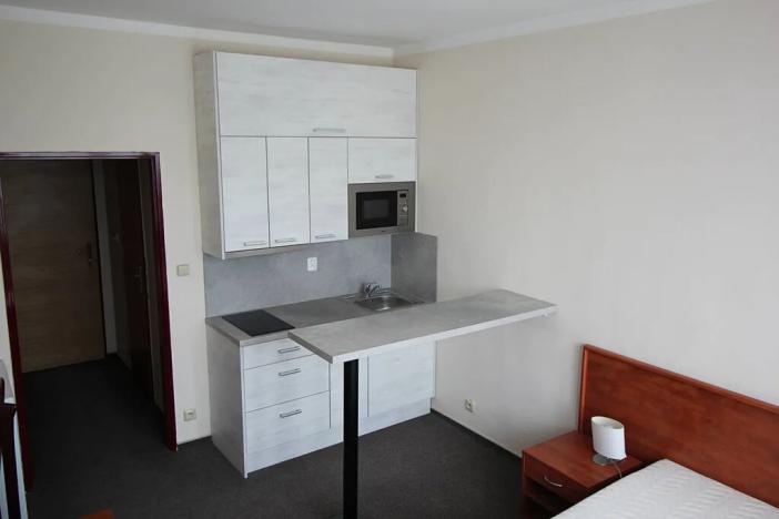 Pronájem bytu 1+kk, Přelouč, Pardubická, 17 m2