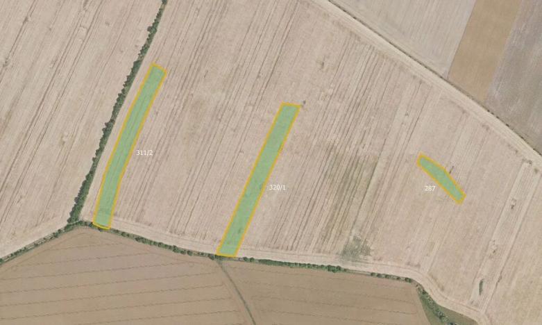 Prodej podílu pole, Hlavenec, 21948 m2