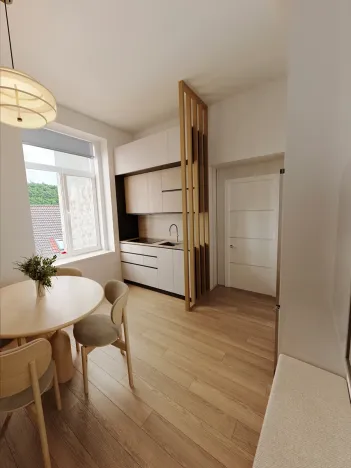 Prodej bytu 1+1, Praha - Smíchov, Holečkova, 36 m2