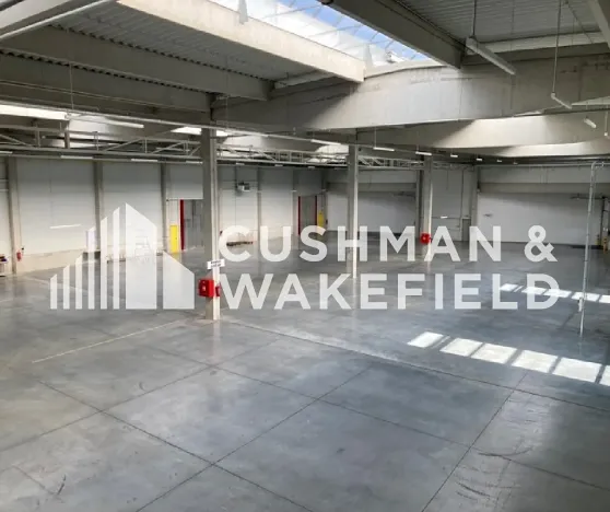 Pronájem skladu, Milovice, Topolová, 7445 m2