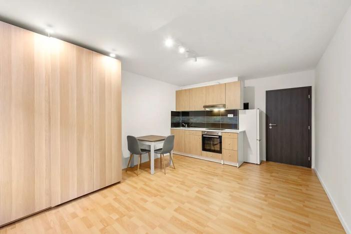 Pronájem bytu 1+kk, Praha - Michle, Michelská, 25 m2