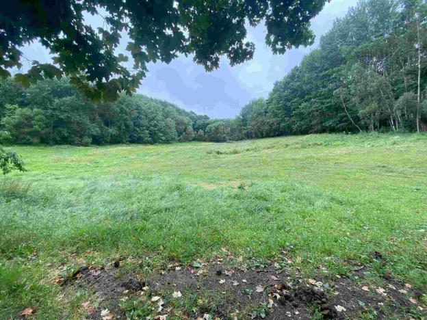 Prodej pole, Úterý - Vidžín, 11289 m2