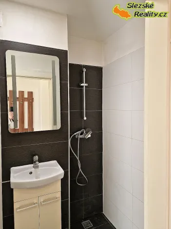 Pronájem bytu 1+kk, Ostrava, Krakovská, 22 m2