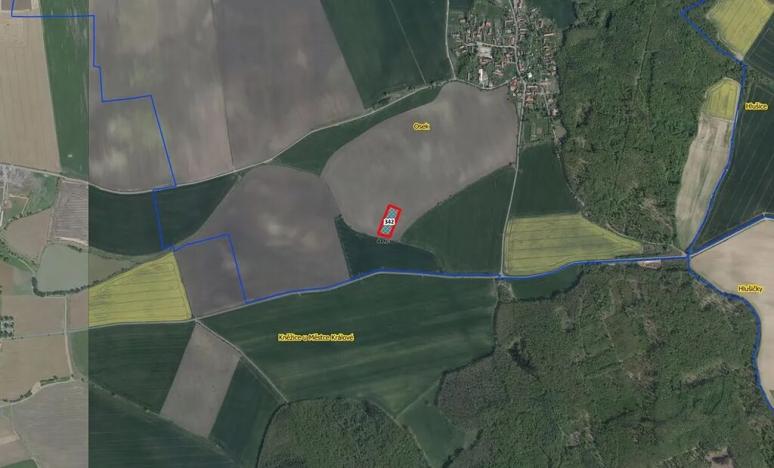 Prodej pole, Kněžice, 5667 m2